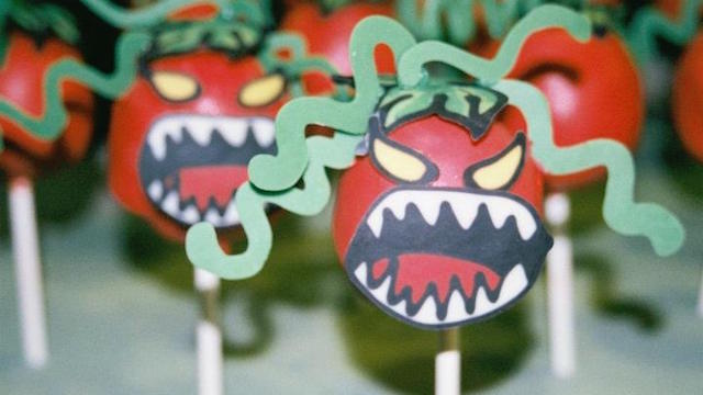 토마토 시스템 기술연구소 개발도구팀 SCM